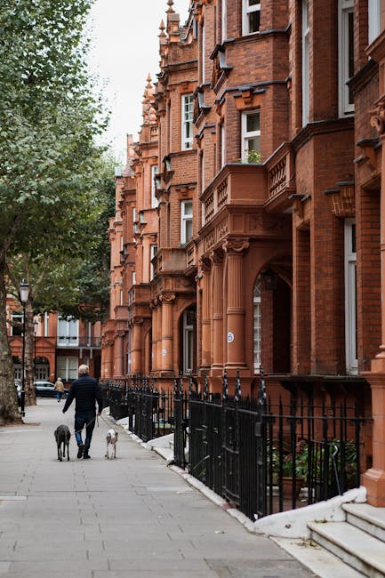 A street view of a residential area with red-brick Victorian-style terraced houses featuring decorative architectural details such as columns and bay windows. The sidewalk is lined with black metal railings and includes a few steps leading up to entrances. A person dressed in dark clothing is walking away from the camera, accompanied by two dogs—one large and black, the other smaller and white—with the dogs on leashes. The scene is partially shaded by mature green trees, and there are parked cars along the street. This setting illustrates an urban environment suitable for house removals and furniture transport, with the individual likely engaged in a home relocation or moving process, possibly involving the loading or unloading of belongings at the property, with Man and Van Kensington providing professional removals services.